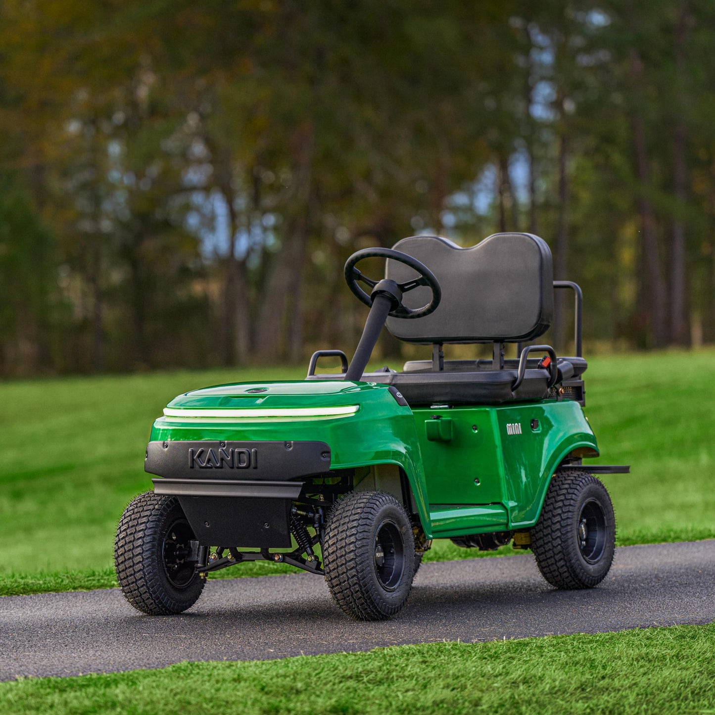 Collapsible Mini Cart